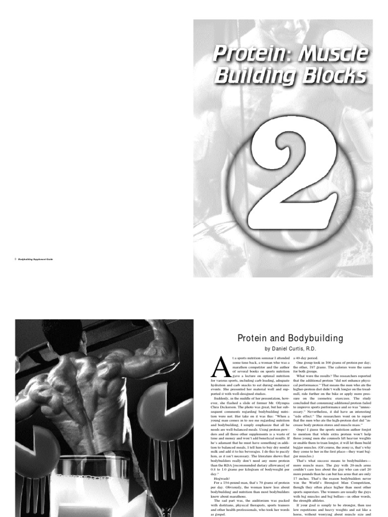 Bodybuilding Nutrition 2 - Proteins | PDF