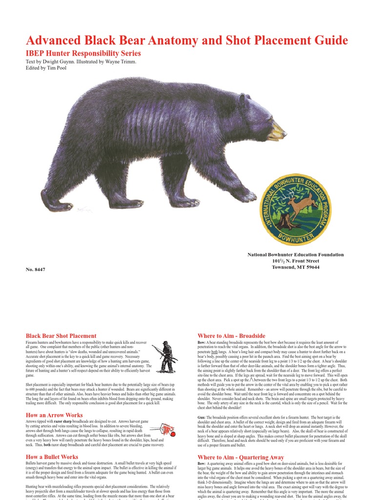 Bear Shot Placement PDF Bowhunting Hunting