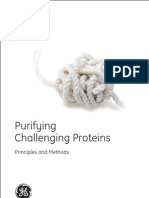 GE - Purifying Challenging Proteins