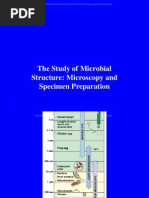 Download microscope by Mohammad Rameez SN119727059 doc pdf