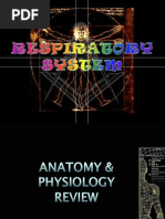 Download Respiratory System Review by caloi SN11972783 doc pdf