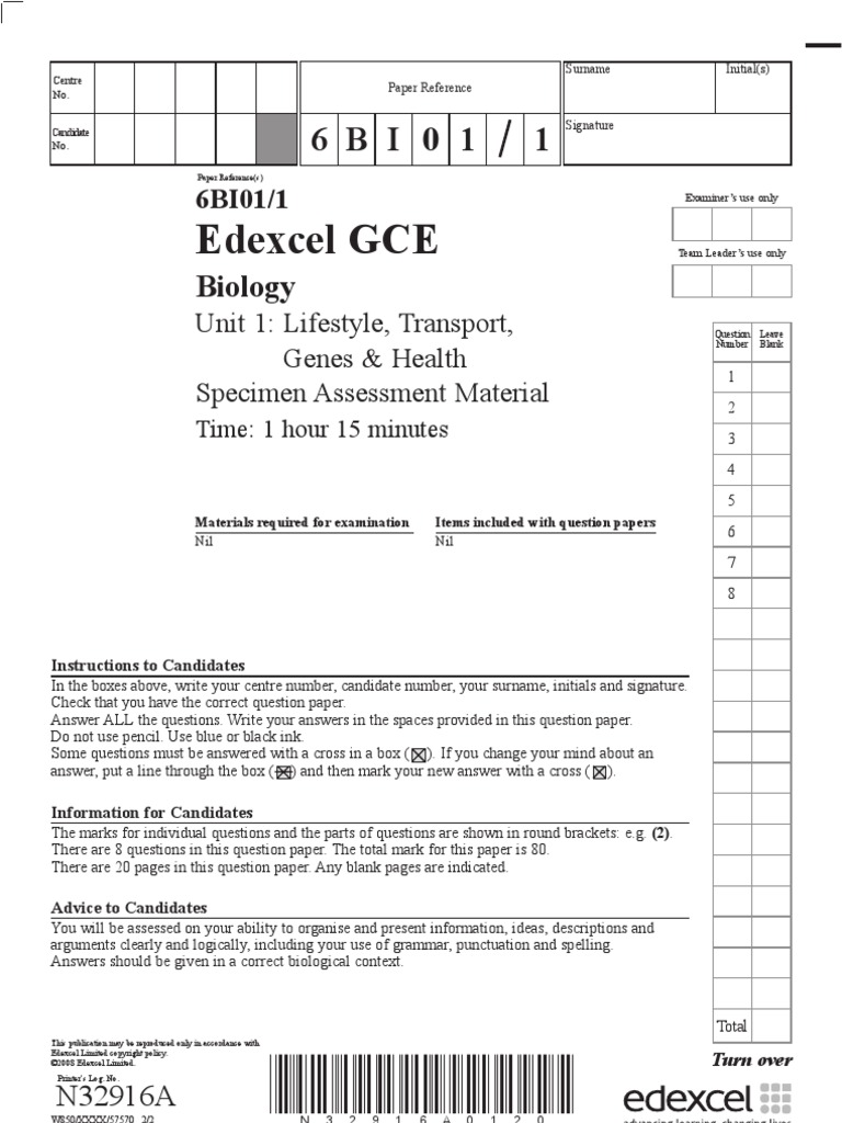 Dna code essay image
