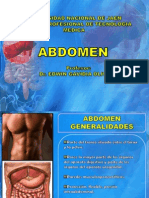 Anatomia Del Abdomen