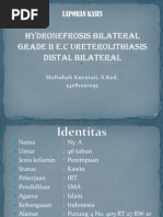 Download kasus hidronefrosis by Maftuhah Kurniati SN119742955 doc pdf