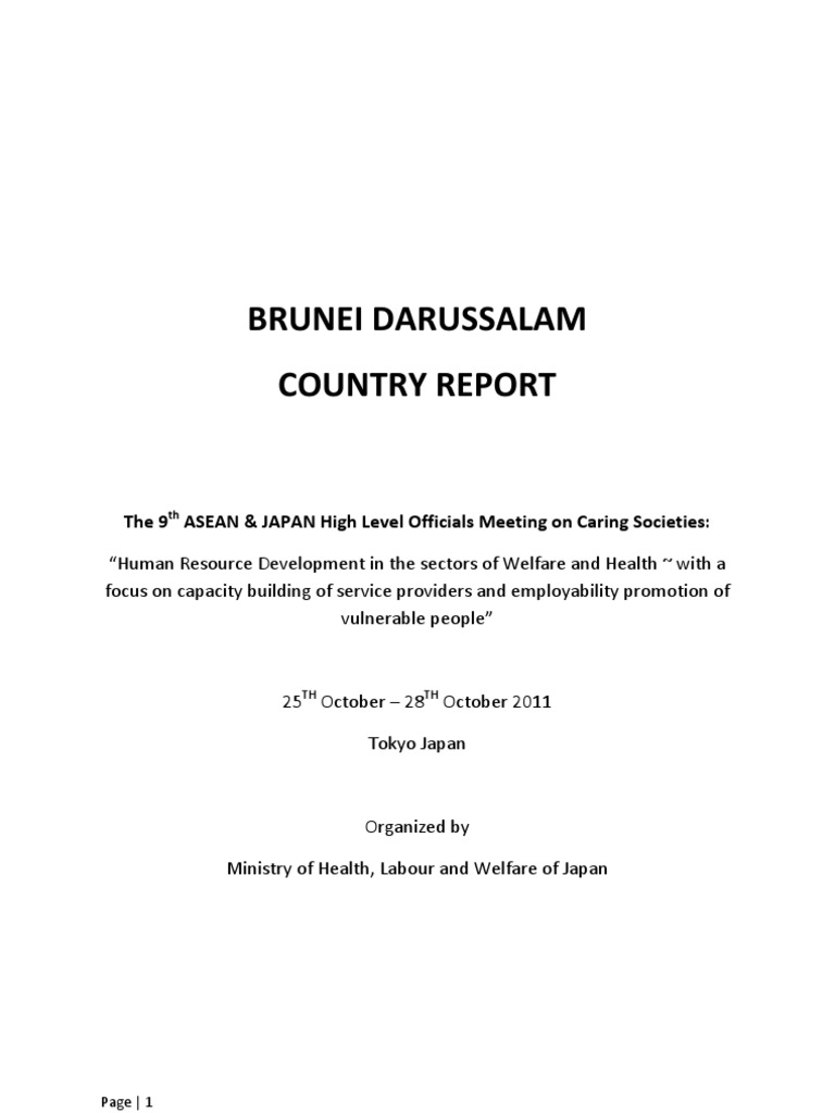 Brunei Country Report PDF Physical Therapy Psychiatry
