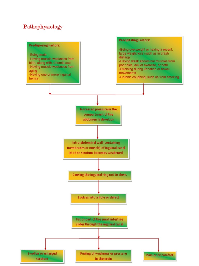Pathophysiology Inguinal Hernia