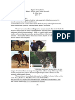 Equine Biomechanics