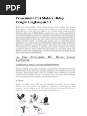 20+ 5 bentuk paruh burung dan fungsinya terbaru