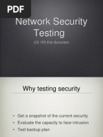 13 Security Testing