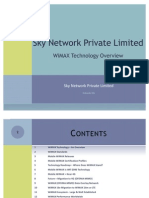 50503382 WiMAX Technology Overview v1