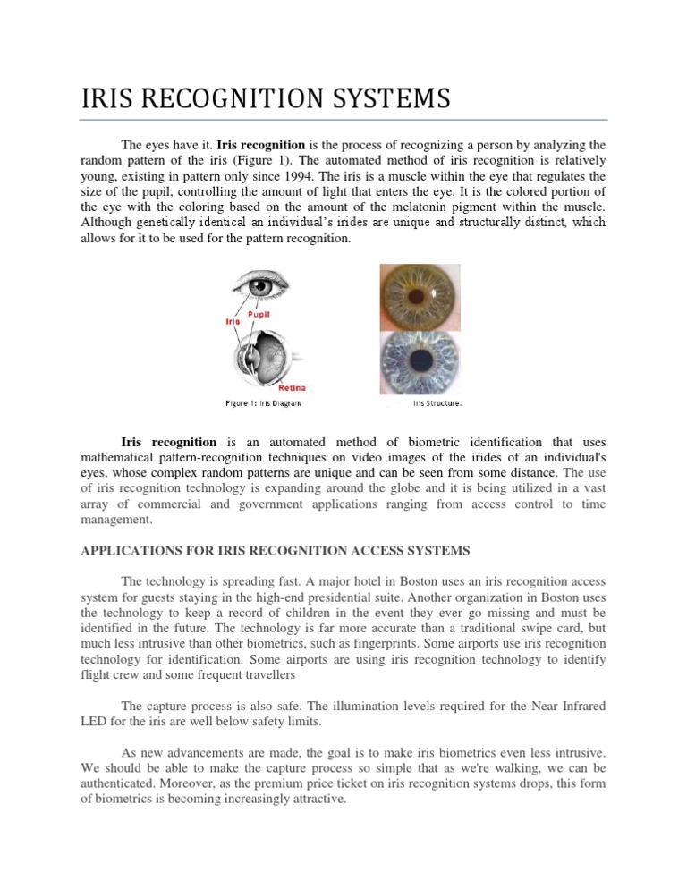 Iris Recognition | PDF