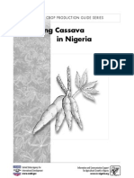 cassava_02[1].pdf