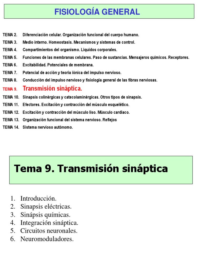 Transmision Sinaptica | PDF | Sinapsis | Neurona