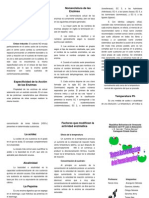 2 Tipos de Hipótesis de Uniones Enzima