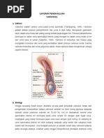 Download LAPORAN-PENDAHULUAN-VARIKOKEL by Rizka Yunita SN119843293 doc pdf