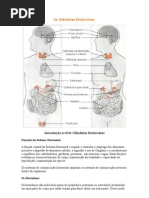 As Glândulas Endócrinas