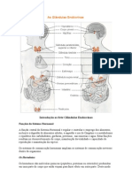 As Glândulas Endócrinas