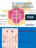 Paredes Abdominales