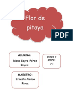 Flor de Pitaya