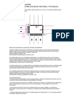 Proyecto Semaforo