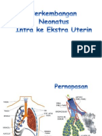 PERKEMBANGAN PARU-PARU JANIN