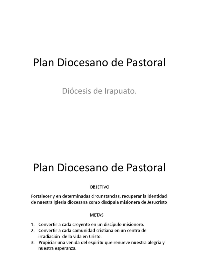 Plan Diocesano de Pastoral Irapuato 2025 | PDF