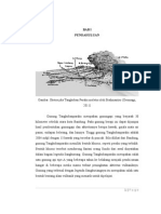 Download Studi Kasus Gunung Tangkuban Perahu by Wildan Nur Hamzah Pradjadisastra SN119933144 doc pdf