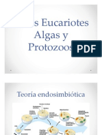 Otros Eucariotes Algas y Protozoos 2.pdf