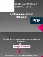 Ecología Microbiana Suelo Rizosfera