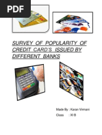 Download Business Studies Project On Credit Cards by Piyush Setia SN119936931 doc pdf