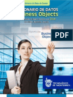 Bussiness Object Dictionary