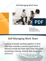 Self Managing Work Team