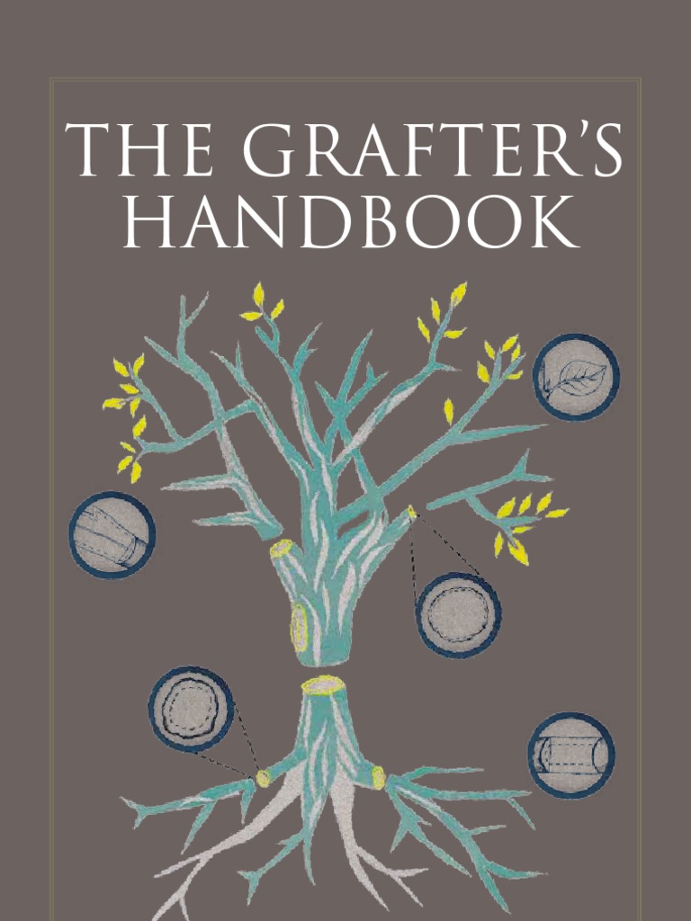 Grafting Established Trees An Excerpt From The Grafter's Handbook
