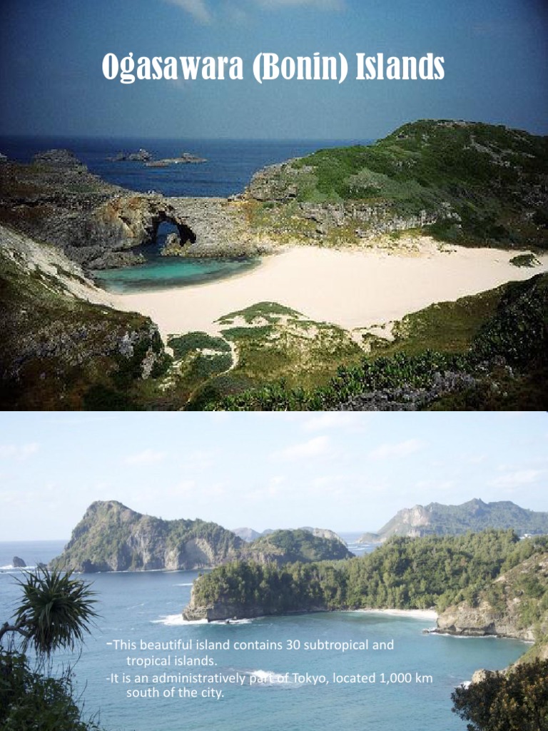 Ogasawara (Bonin) Islands | PDF | Cats | Conservation