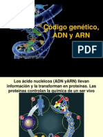 ADN y Codigo Genetico 120929