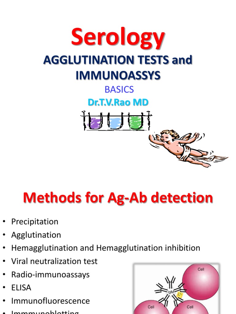 AGGLUTINATION TESTS and IMMUNOASSYS PDF Elisa Complement System