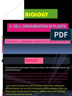 Biology: 2. Cell Organisation in Plants