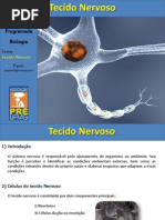 tecido nervoso ppt