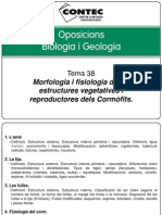 Tema 38 - Morfologia Del Corm