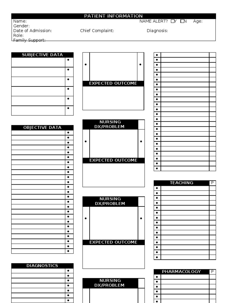Patient Care Documentation Template | PDF