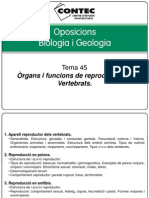 Tema 45 - Reproducció en Vertebrats