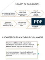 Pathophysiology of Cholangitis