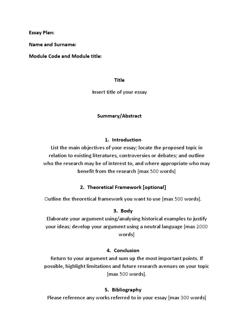 Essay Structure and Guidelines Template | PDF