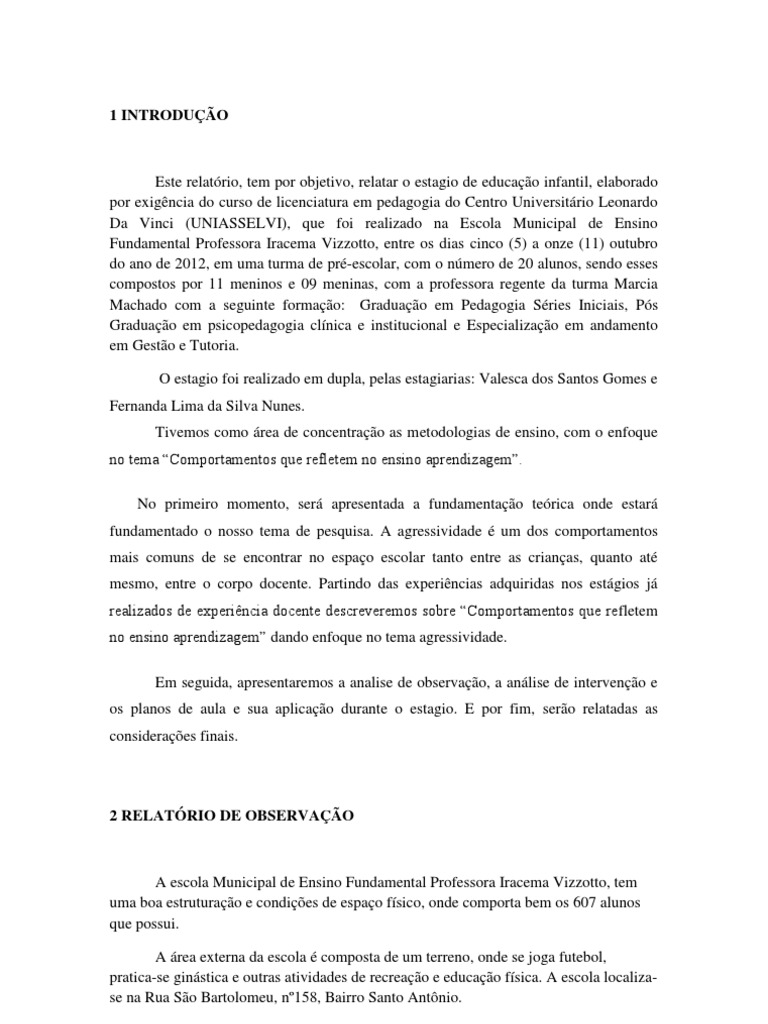 Relatório De Estágio Pedagogia Educação Infantil 2022