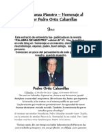 Entrevista A Pedro Ortiz Cabanillas