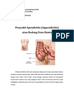 Penyakit Apendisitis