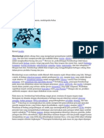 Download Bioteknologi by Hasrang Juhas SN120117458 doc pdf