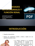 Presentación Enfermedades mitocondriales y función renal