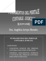 Peritaje Contable Judicial