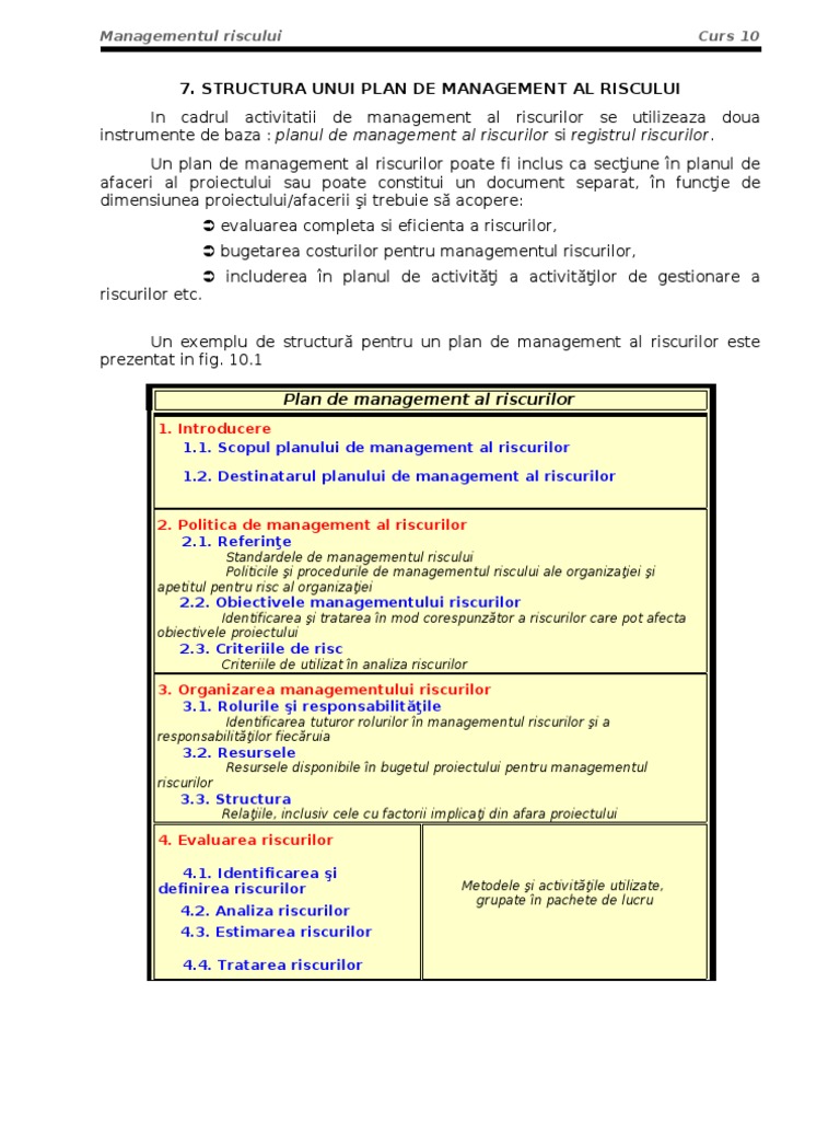 Managementul Riscului - Curs 10 | PDF